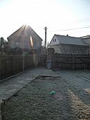 Třibřichy